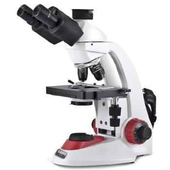 Microscópio Biológico Microscópio Biológico